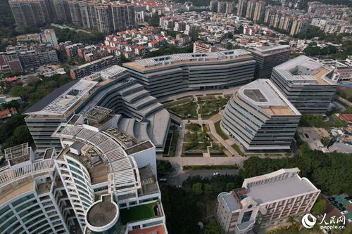 搭建平臺 編制目錄 廈門持續(xù)優(yōu)化政策促進軟件產業(yè)高質量發(fā)展