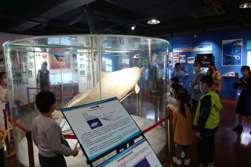 公告 關于12月30日 科普問答 答案公告