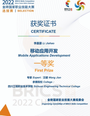 軟件工程系學生榮獲“金磚國家職業技能大賽選拔賽”一等獎